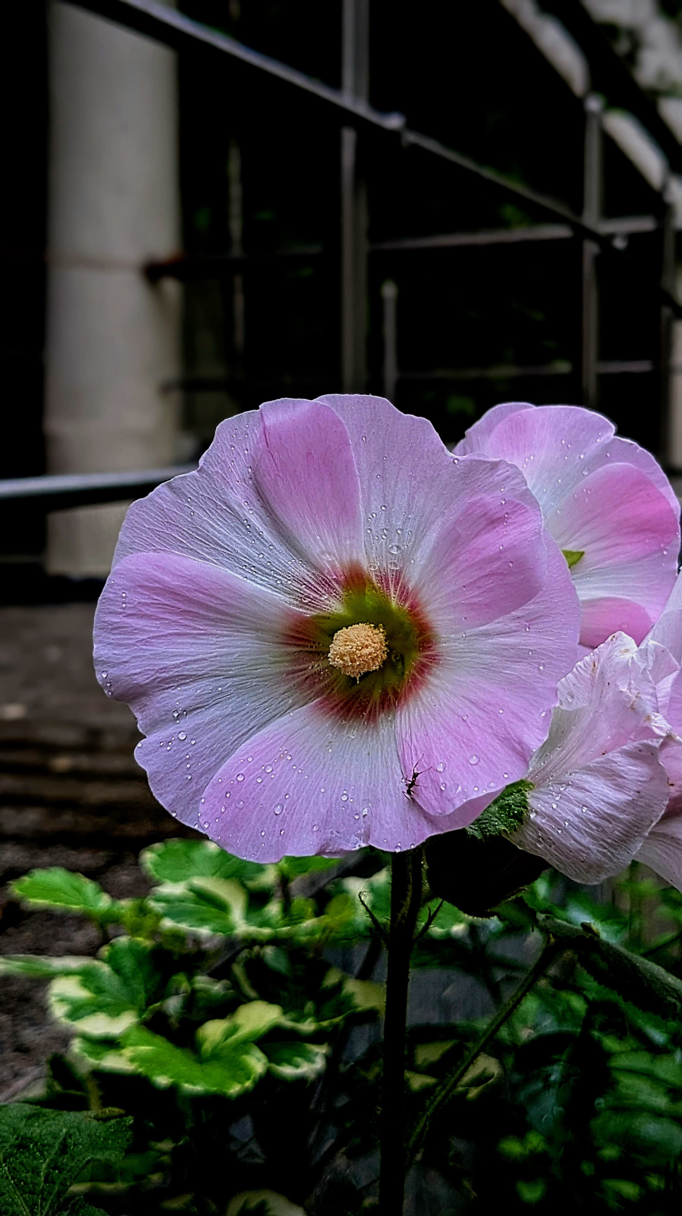 Photography 2